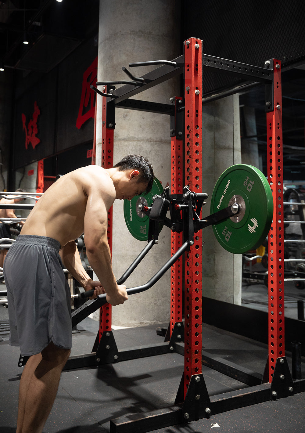 COBANTFIT Pec Fly Lateral Raise Attachment